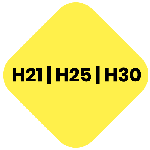 h2